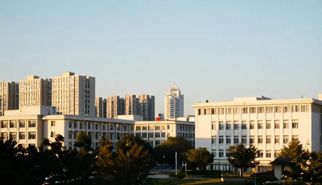 信息技术系统日常维护中的常见问题与应对策略